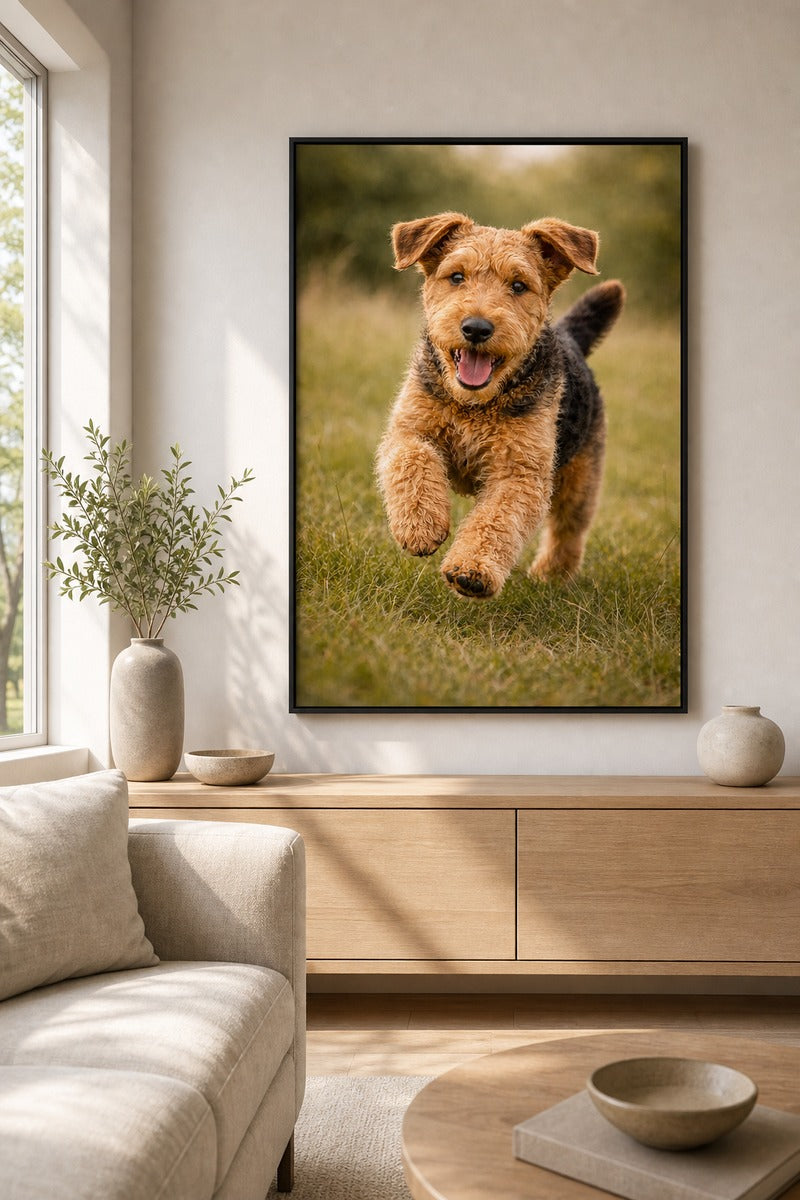 Airedale Terrier Puppy Play