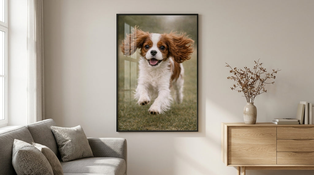 Zabawa szczeniąt Cavalier King Charles Spaniel