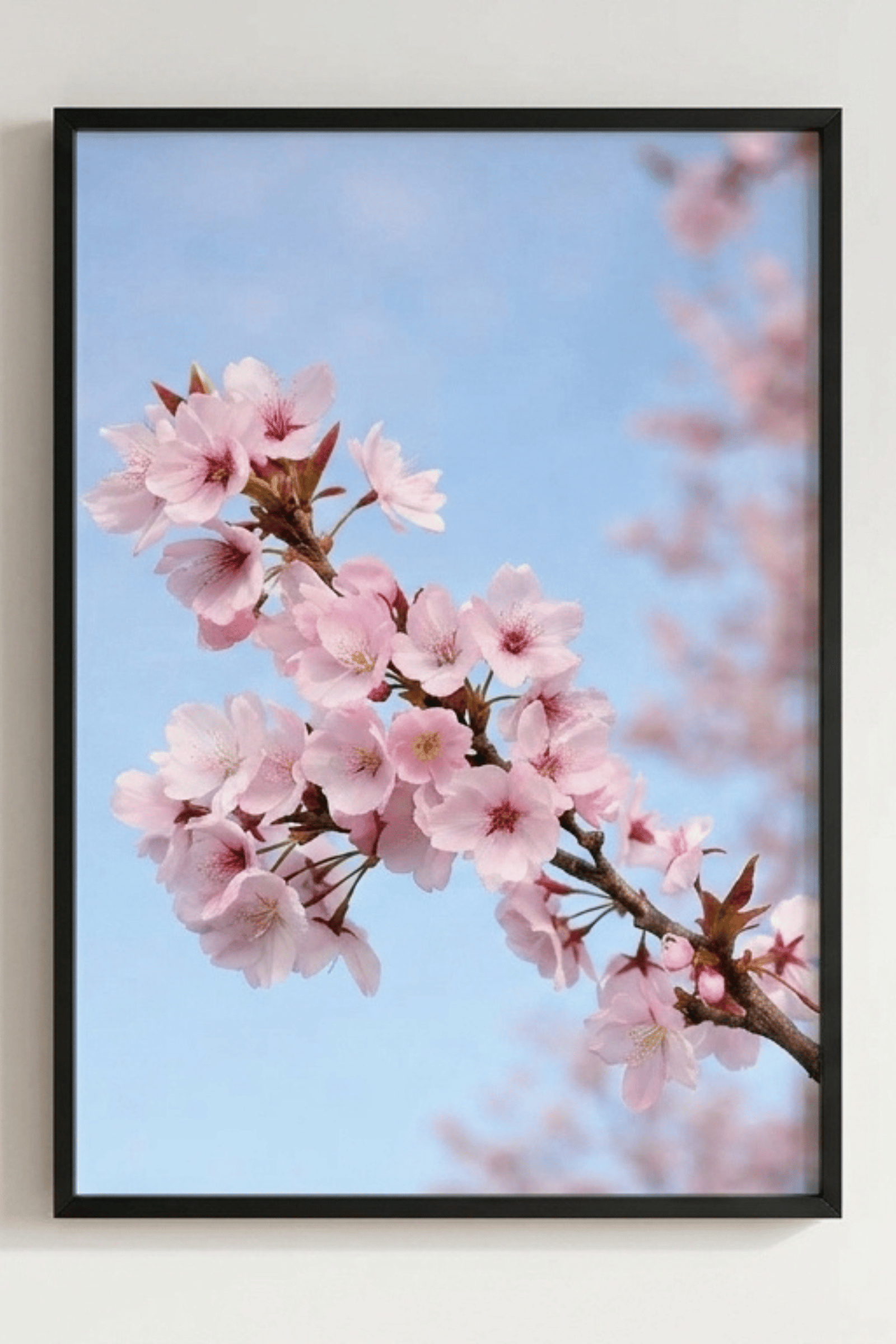 Cherry Blossom Branch in Bloom