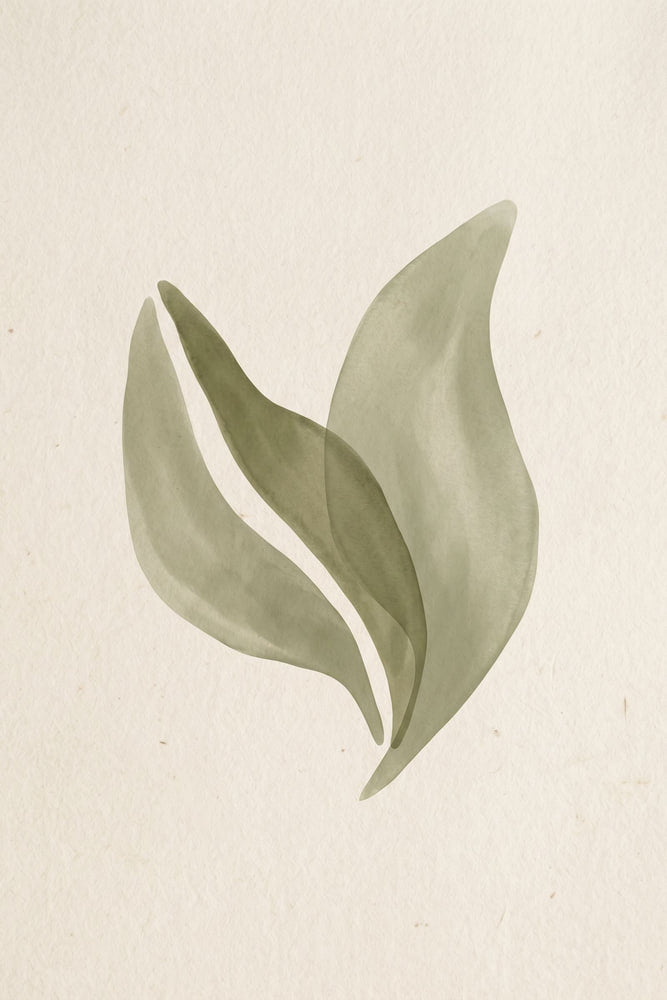 Gentle Leaf Study
