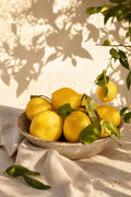 Golden Lemons in Sunlight