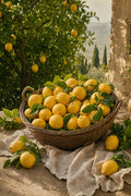 Lemon Grove Harvest