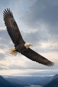 Majestic Eagle in Flight