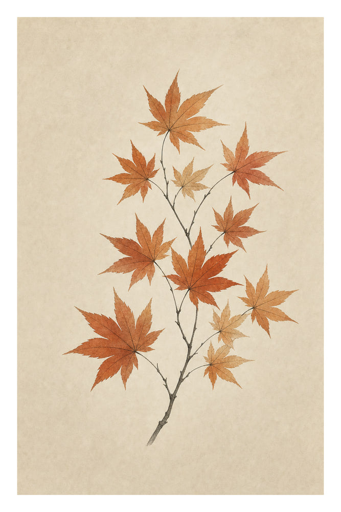 Maple Leaves Autumn