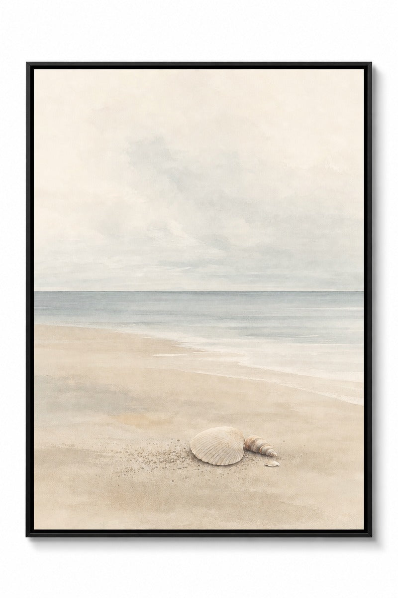 Shells on Soft Sand