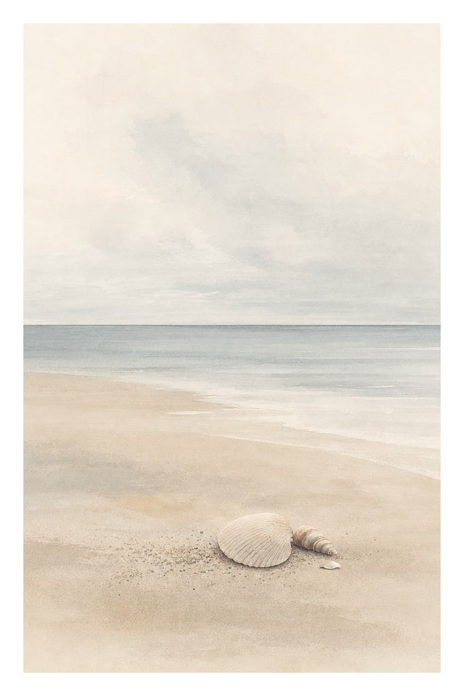 Shells on Soft Sand