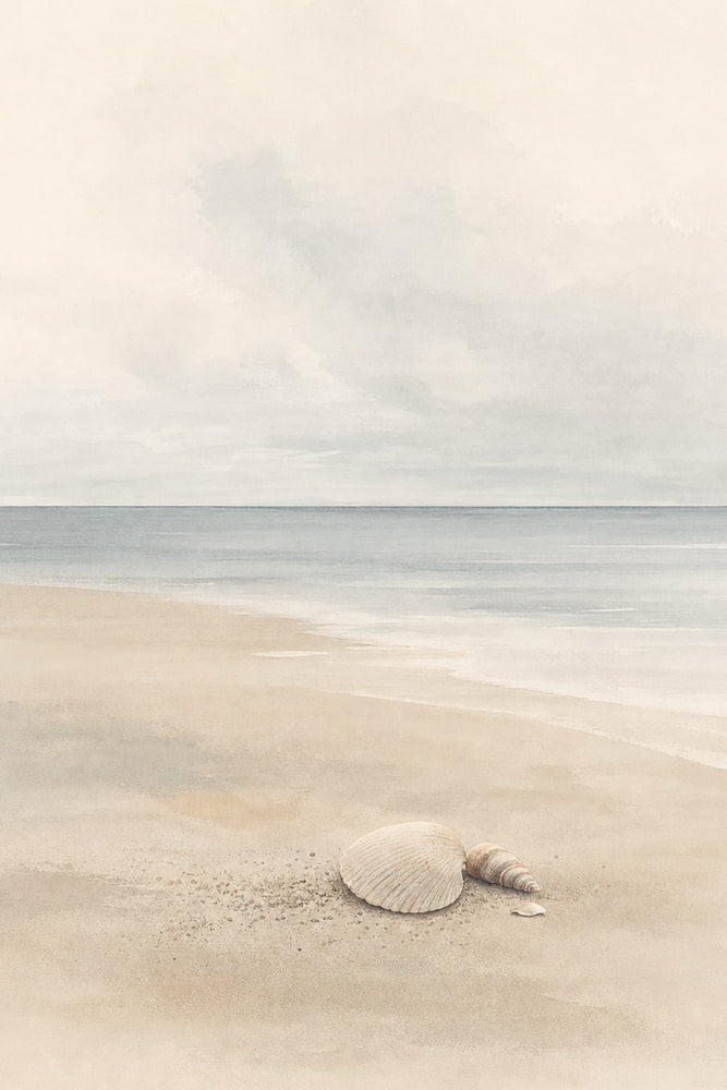 Shells on Soft Sand