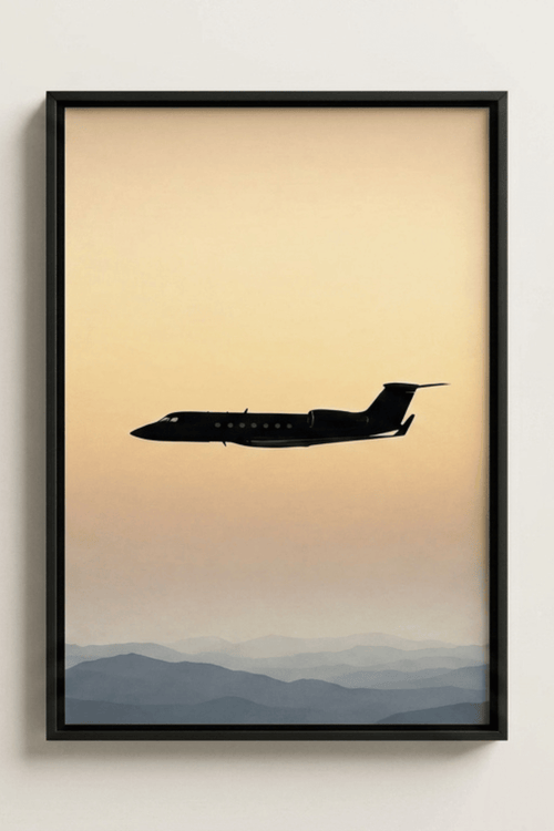Silhouette of Flight