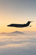 Silhouetted Flight Above Clouds